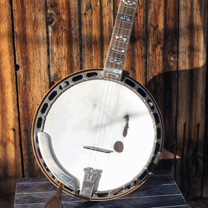 Bluegrass Banjo EXS24 - Click Image to Close