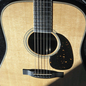 Acoustic Steel Guitar Motif XS and XF