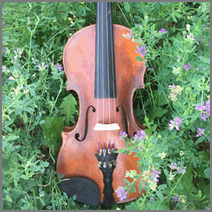 fiddle! V2 for Kontakt - Click Image to Close