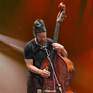 Roots Upright Bass for Kontakt