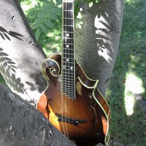 Pure Mandolin for Kontakt - Click Image to Close